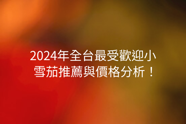 2024年全台最受歡迎小雪茄推薦與價格分析！